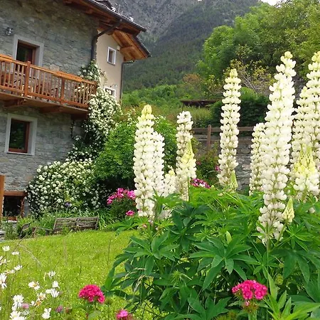 Maison Perriere - D'hotes & Jacuzzi Saint-Vincent