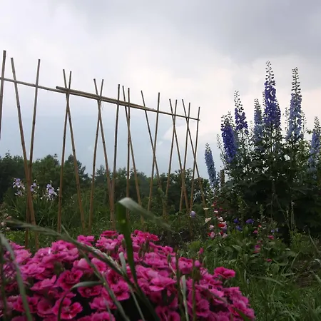 Maison Perriere - D'hotes & Jacuzzi Bed & Breakfast 3*