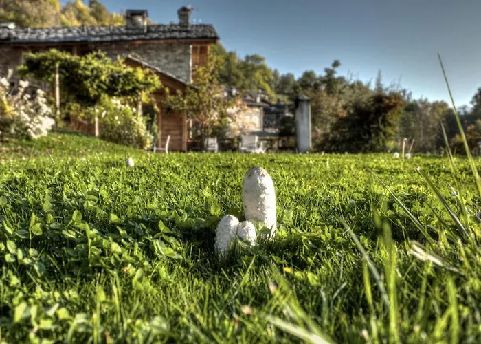 Maison Perriere - D'hôtes&jacuzzi Couette-café