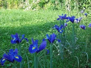 Bed & Breakfast Maison Perriere - D'hotes & Jacuzzi 3*