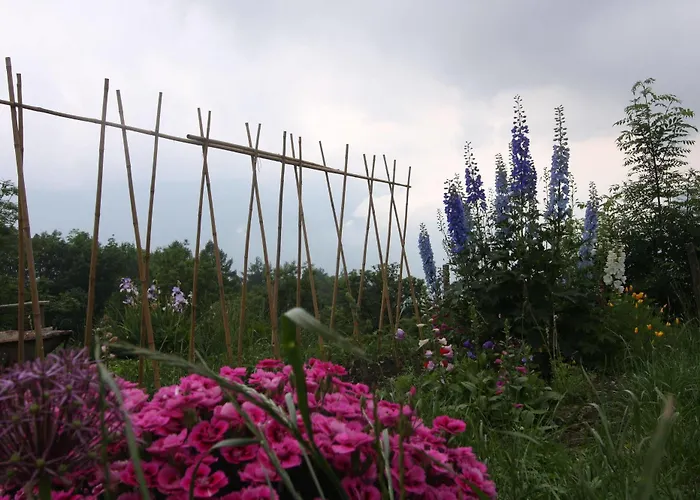 Maison Perriere - D'hôtes&jacuzzi Couette-café 3*