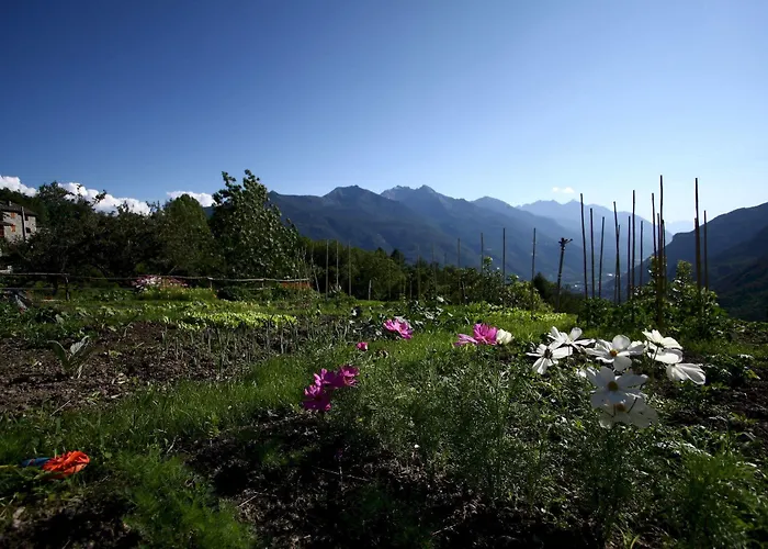 Maison Perriere - D'hôtes&jacuzzi